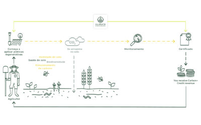 O que são créditos de carbono para agricultores e como podem beneficiar a sua exploração?