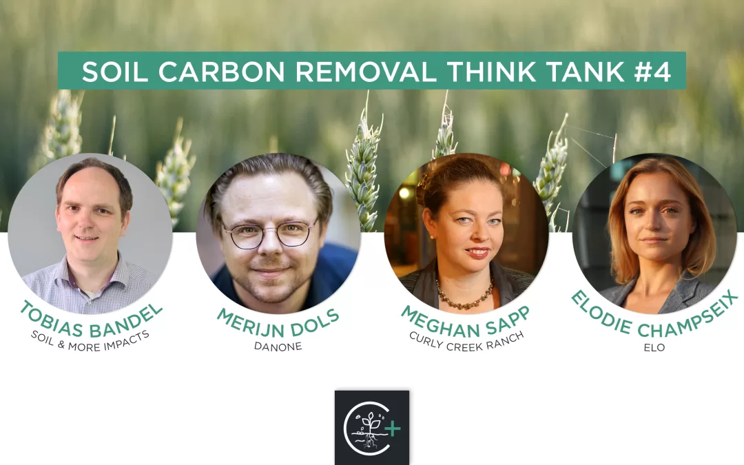 Mutually Beneficial Carbon Credits from regenerative agriculture