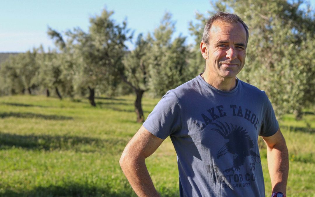 Green gold and greener fields. Why olive farmers are embracing regenerative agriculture