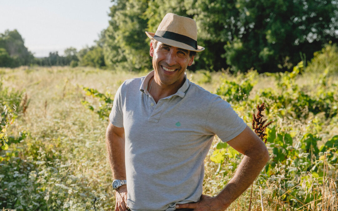 Nuno Mayer | Quinta do Alfeijoal | 64 ha arable farm