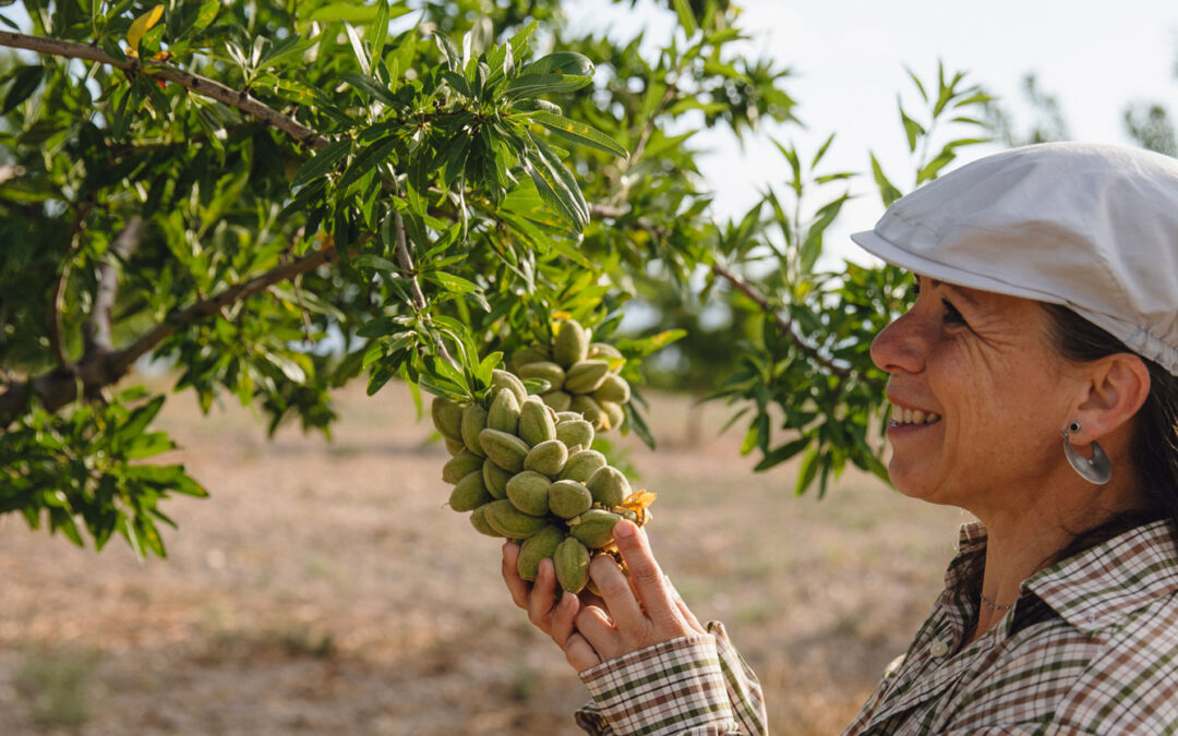 One farmers story of turning an almond desert green