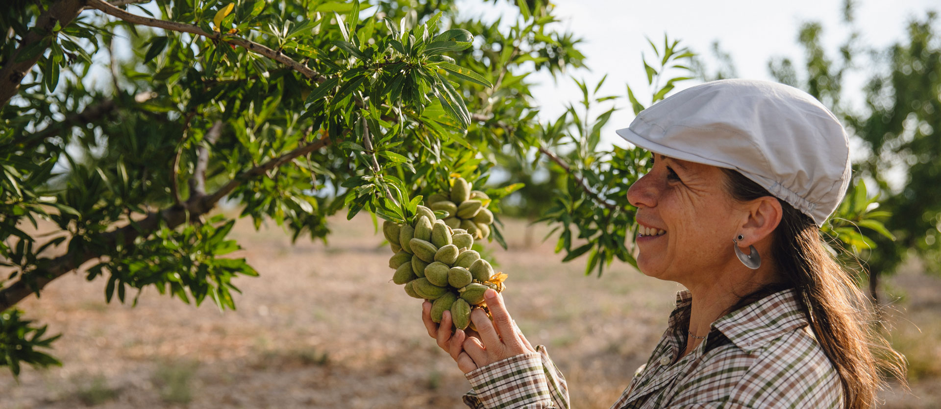 How a 3-hectare olive farm is proving the bigger-is-better world wrong