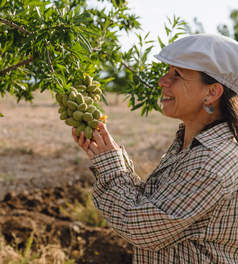 Image_One-farmers-story-of-turning-an-almond-desert-green